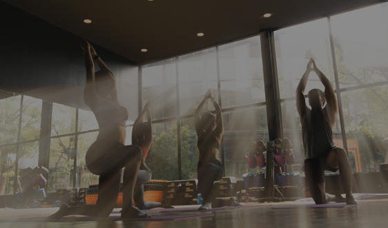 фитнес-центр, термальный комплекс с бассейном, сосновый бор